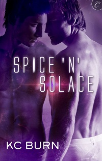 Cover - Spice n Solace