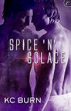 cover art - spice n solace